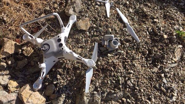 Artvin'de kartalın düşürdüğü drone - Sputnik Türkiye