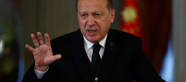 Cumhurbaşkanı Recep Tayyip Erdoğan - Sputnik Türkiye