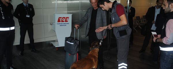 Atatürk Havalimanı'nda Avusturya yolcularına köpekli arama - Sputnik Türkiye