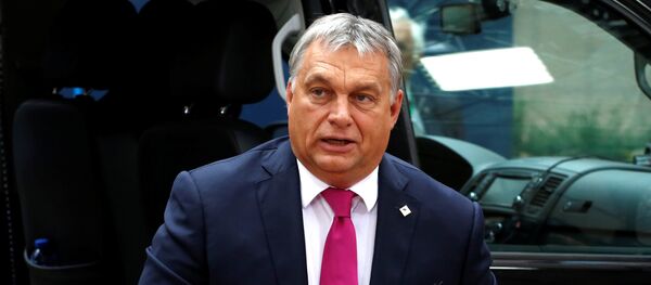Macaristan Başbakanı Viktor Orban - Sputnik Türkiye