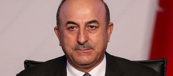 Mevlüt Çavuşoğlu - Sputnik Türkiye