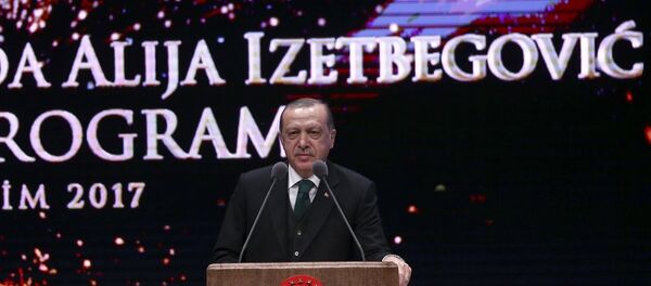 Cumhurbaşkanı Recep Tayyip Erdoğan Cumhurbaşkanı Recep Tayyip Erdoğan - Sputnik Türkiye