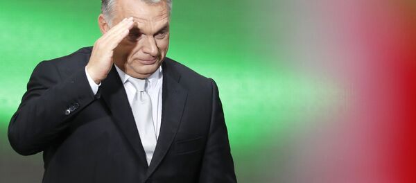 Macaristan Başbakanı Viktor Orban - Sputnik Türkiye