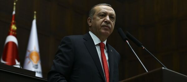 Cumhurbaşkanı Recep Tayyip Erdoğan - Sputnik Türkiye