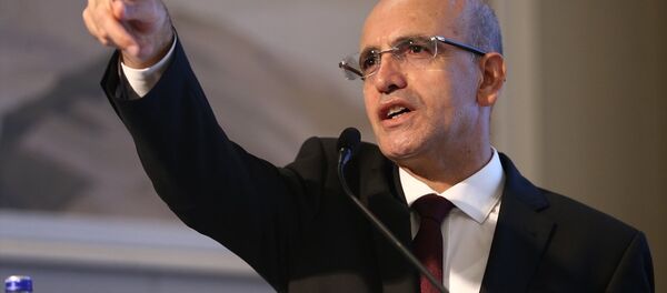 Başbakan Yardımcısı Mehmet Şimşek - Sputnik Türkiye