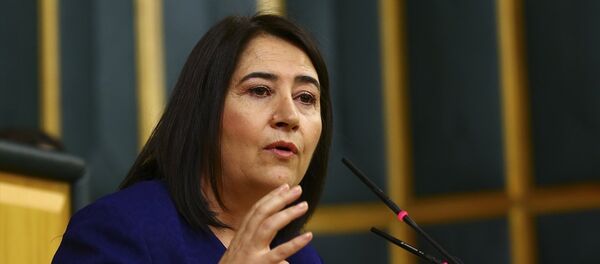 HDP Eş Genel Başkanı Serpil Kemalbay - Sputnik Türkiye