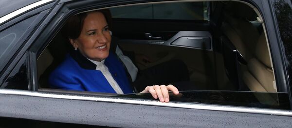 Meral Akşener - Sputnik Türkiye