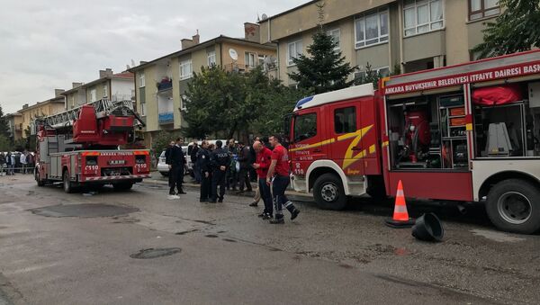 Ankara'da yangın - Sputnik Türkiye
