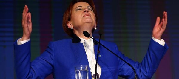 İyi Parti Genel Başkanı Meral Akşener - Sputnik Türkiye