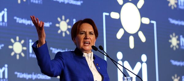 İyi Parti Genel Başkanı Meral Akşener - Sputnik Türkiye