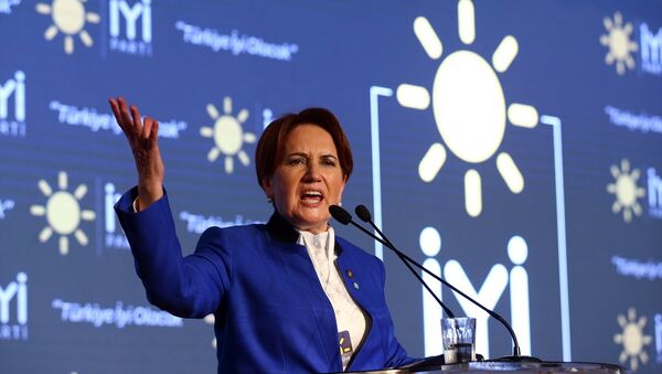 İyi Parti Genel Başkanı Meral Akşener - Sputnik Türkiye