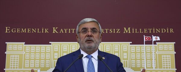 AK Parti İstanbul Milletvekili Mehmet Metiner - Sputnik Türkiye