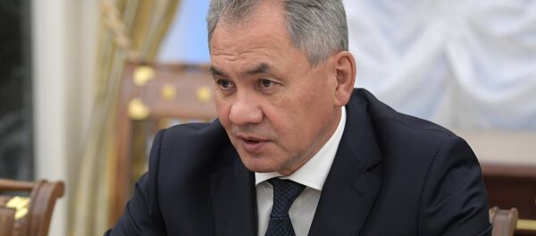 Rusya Savunma Bakanı Sergey Şoygu Rusya Savunma Bakanı Sergey Şoygu - Sputnik Türkiye
