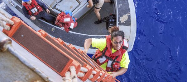 Okyanusta - kaybolan - denizciler - iki köpek - Sputnik Türkiye