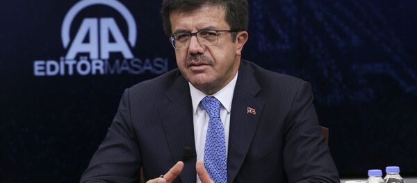 Ekonomi Bakanı Nihat Zeybekci - Sputnik Türkiye