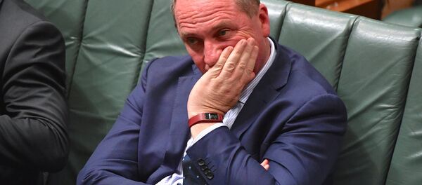 Avustralya Başbakan Yardımcısı Barnaby Jones - Sputnik Türkiye