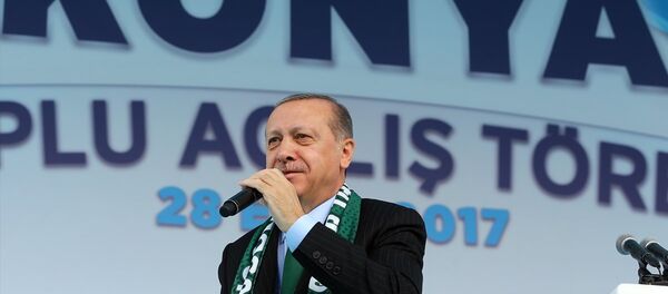 Cumhurbaşkanı Recep Tayyip Erdoğan - Sputnik Türkiye