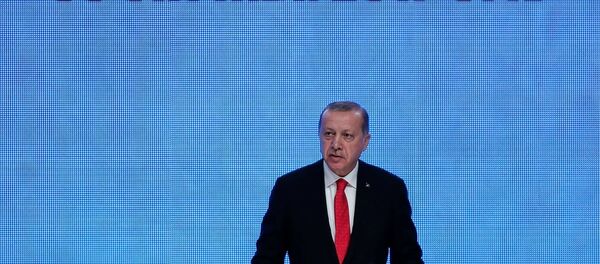 Cumhurbaşkanı Recep Tayyip Erdoğan - Sputnik Türkiye