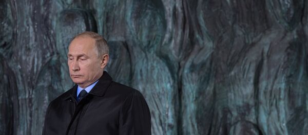 Rusya Devlet Başkanı Vladimir Putin - Sputnik Türkiye