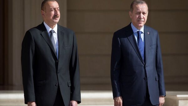 Erdoğan Aliyev ile görüştü - Sputnik Türkiye