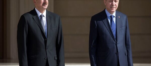 Erdoğan Aliyev ile görüştü - Sputnik Türkiye