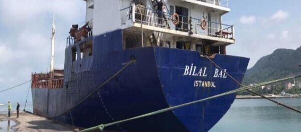 Şile açıklarında kargo gemisi kayboldu - Sputnik Türkiye