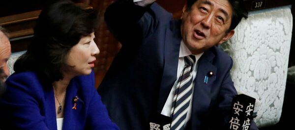 Japonya Başbakanı Şinzo Abe - Sputnik Türkiye