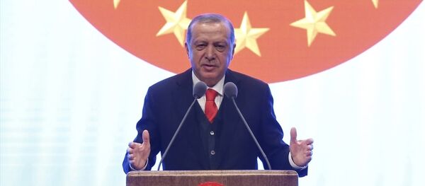 Cumhurbaşkanı Recep Tayyip Erdoğan - Sputnik Türkiye