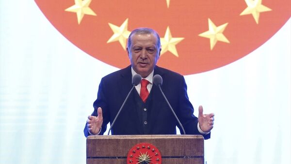 Cumhurbaşkanı Recep Tayyip Erdoğan - Sputnik Türkiye