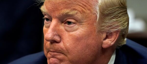 ABD Başkanı Donald Trump - Sputnik Türkiye
