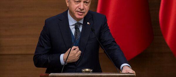 Cumhurbaşkanı Recep Tayyip Erdoğan Cumhurbaşkanı Recep Tayyip Erdoğan - Sputnik Türkiye