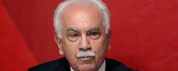 Vatan Partisi Genel Başkanı Doğu Perinçek Vatan Partisi Genel Başkanı Doğu Perinçek - Sputnik Türkiye