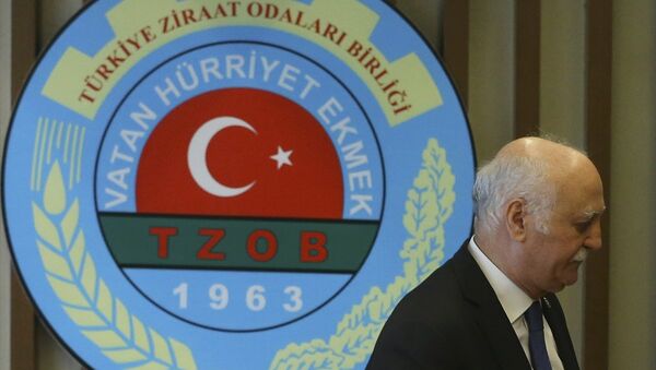 Türkiye Ziraat Odaları Birliği (TZOB) Başkanı Şemsi Bayraktar - Sputnik Türkiye