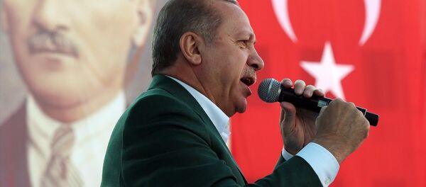 Cumhurbaşkanı Recep Tayyip Erdoğan - Sputnik Türkiye