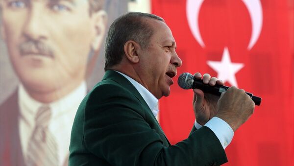 Cumhurbaşkanı Recep Tayyip Erdoğan - Sputnik Türkiye