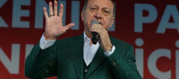 Cumhurbaşkanı Recep Tayyip Erdoğan Cumhurbaşkanı Recep Tayyip Erdoğan - Sputnik Türkiye