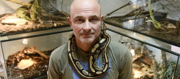 Evinde 40 çeşit yılan besliyor - Sputnik Türkiye