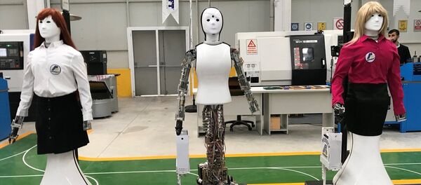 Türkiye'nin ilk insansı robot fabrikası açıldı - Sputnik Türkiye