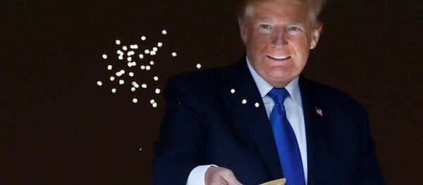 ABD Başkanı Donald Trump - Sputnik Türkiye