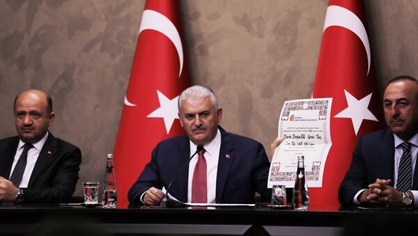 Başbakan Binali Yıldırım - Sputnik Türkiye