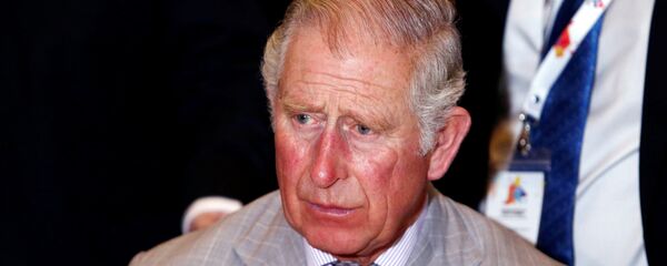 Cornwall Dükü Prens Charles - Sputnik Türkiye