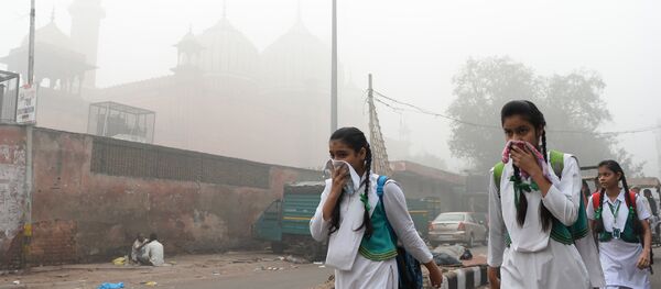 20 milyonluk nüfusuyla dünyanın en kalabalık başkenti Yeni Delhi'de yoğun duman tabakasının her tarafı kaplamasının ardından insanlar ağızlarını mendil ya da kıyafetleiyrle kapatarak günlük yaşamlarına devam etmeye çalıştı. - Sputnik Türkiye