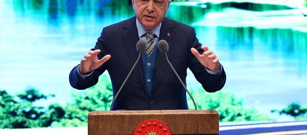 Cumhurbaşkanı ve AK Parti Genel Başkanı Recep Tayyip Erdoğan - Sputnik Türkiye