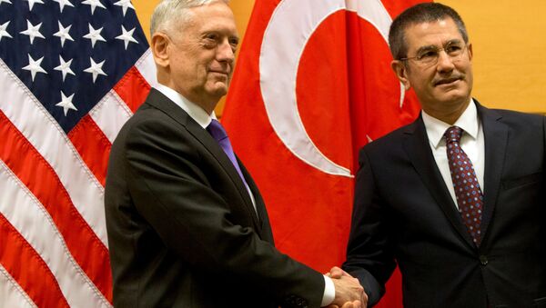 Milli Savunma Bakanı Nurettin Canikli-ABD Savunma Bakanı James Mattis - Sputnik Türkiye