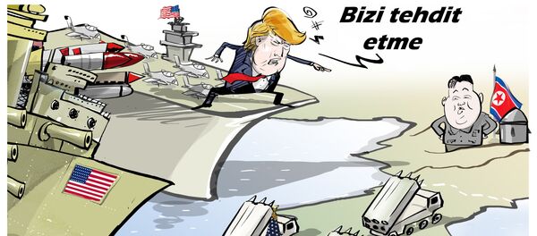 Karikatür - Sputnik Türkiye