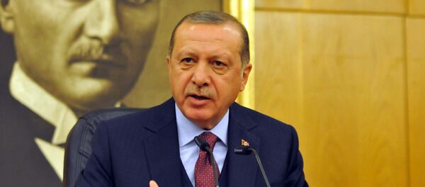 Cumhurbaşkanı Recep Tayyip Erdoğan - Sputnik Türkiye