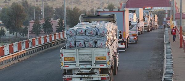 Kızılay'ın yardım konvoyu Irak'a ulaştı - Sputnik Türkiye