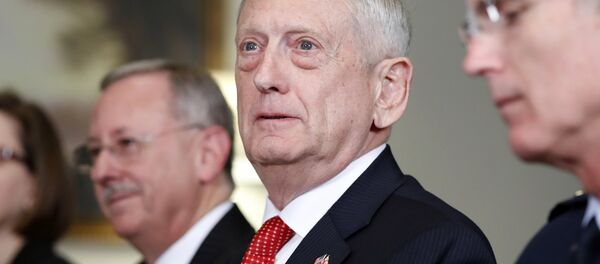 ABD Savunma Bakanı Jim Mattis - Sputnik Türkiye