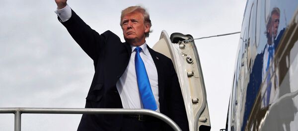 Donald Trump - Sputnik Türkiye
