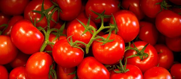 Domates - Sputnik Türkiye